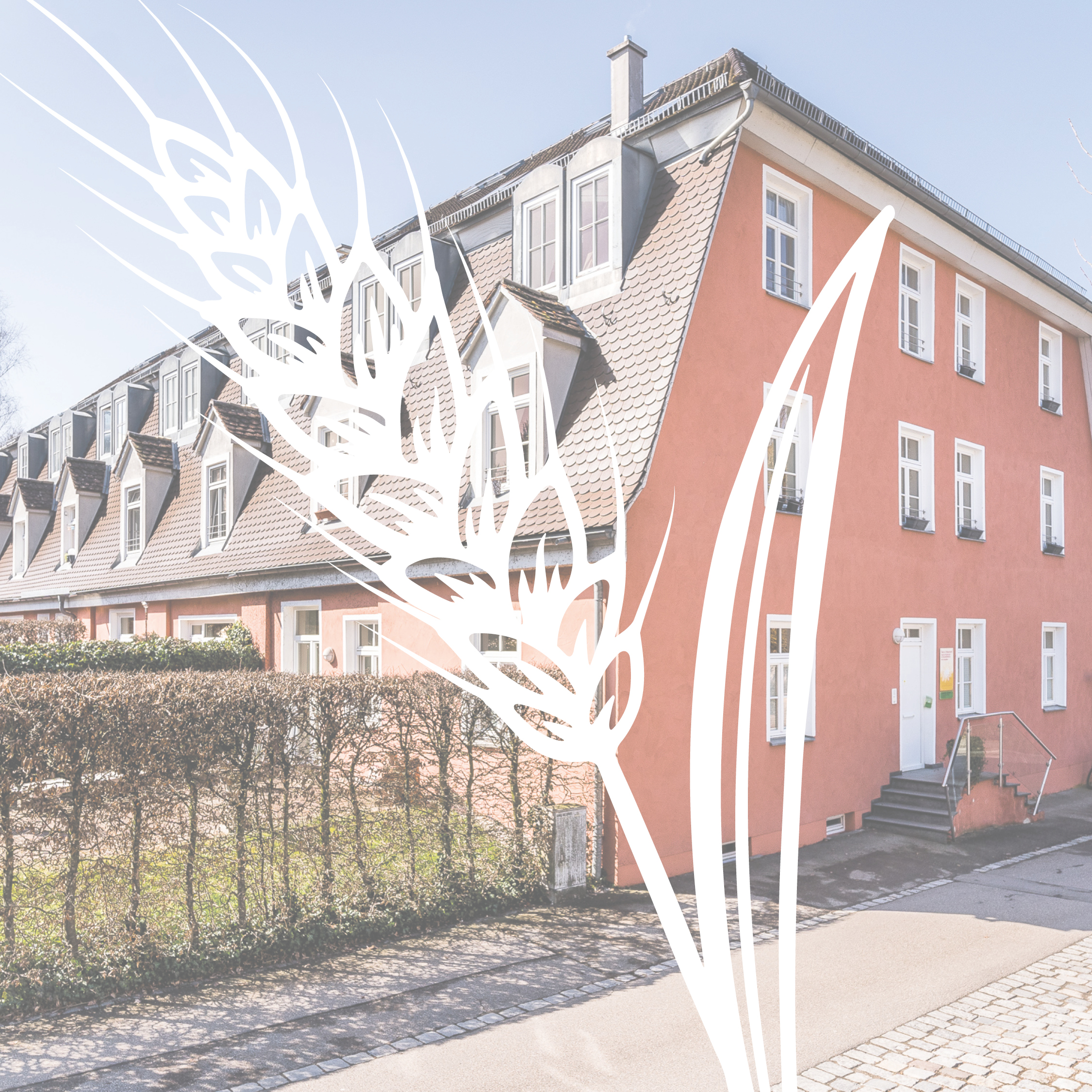 Fürstenegger Hof - 450 Jahre altes Saatgut Dämmung