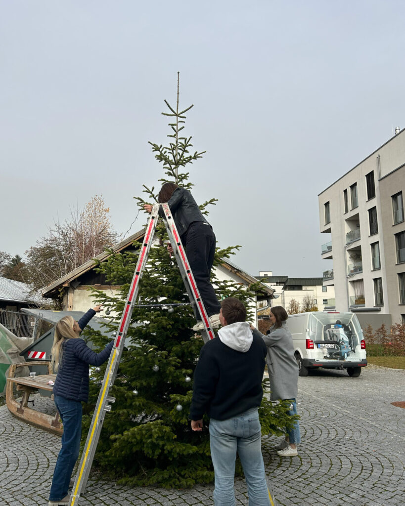 Weihnachtsbaum Team Adventszeit Stimmung Arbeit
