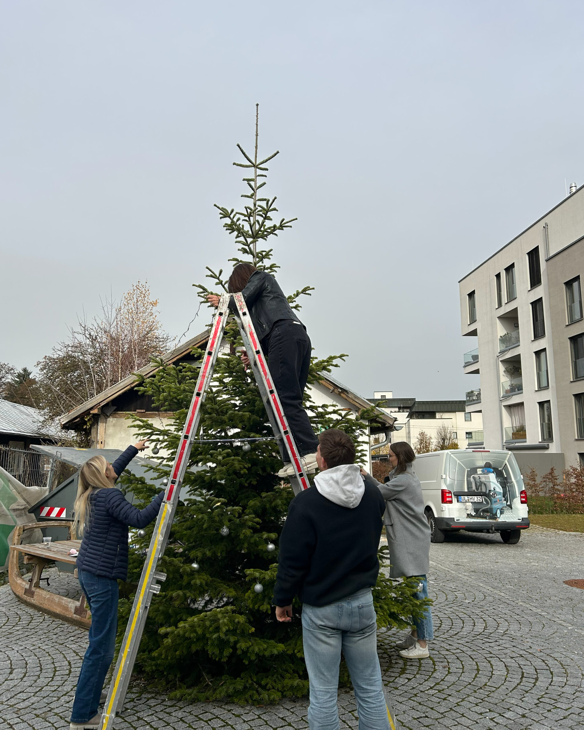Weihnachtsbaum Team Adventszeit Stimmung Arbeit